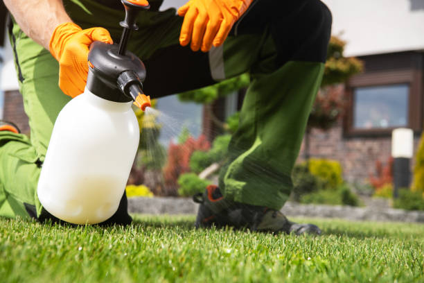 Best Residential Pest Control  in Medpolis, IA